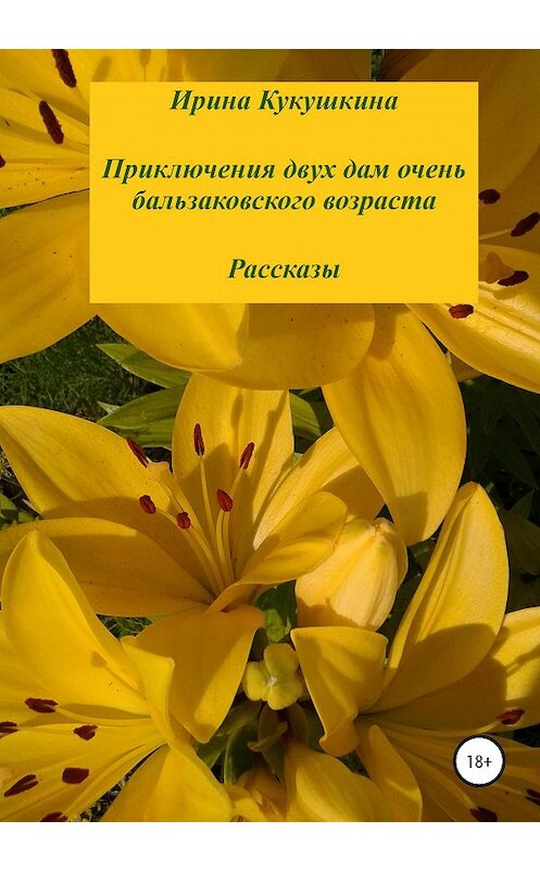 Обложка книги «Приключения двух дам очень бальзаковского возраста. Рассказы» автора Ириной Кукушкины издание 2020 года.