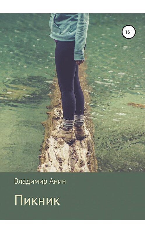 Обложка книги «Пикник» автора Владимира Анина издание 2020 года.