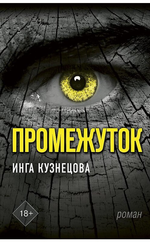 Обложка книги «Промежуток» автора Инги Кузнецовы издание 2019 года. ISBN 9785171198107.