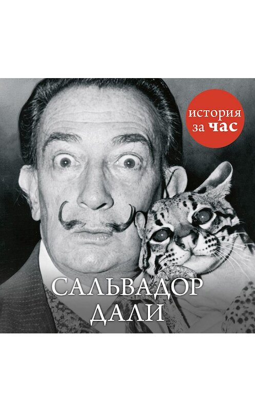 Обложка аудиокниги «Сальвадор Дали» автора Веры Калмыковы. ISBN 9785389128538.