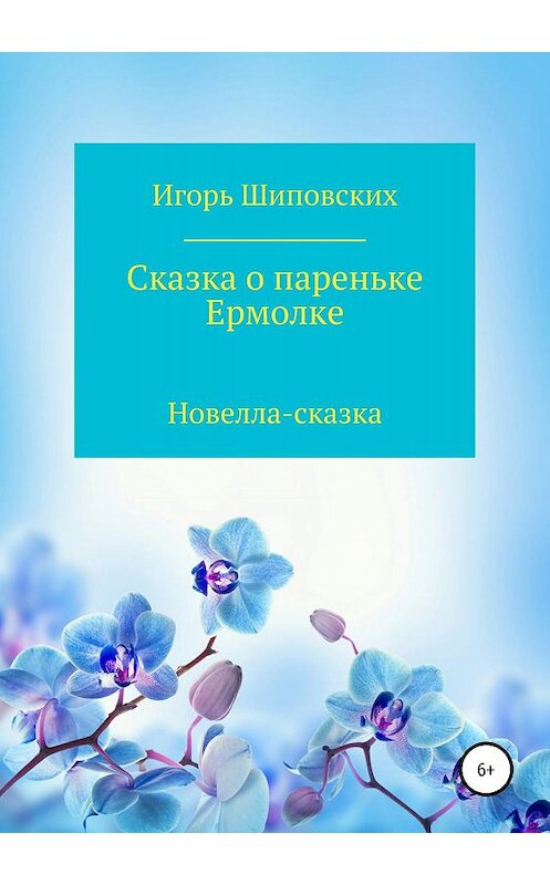 Обложка книги «Сказка о пареньке Ермолке» автора Игоря Шиповскиха издание 2019 года.