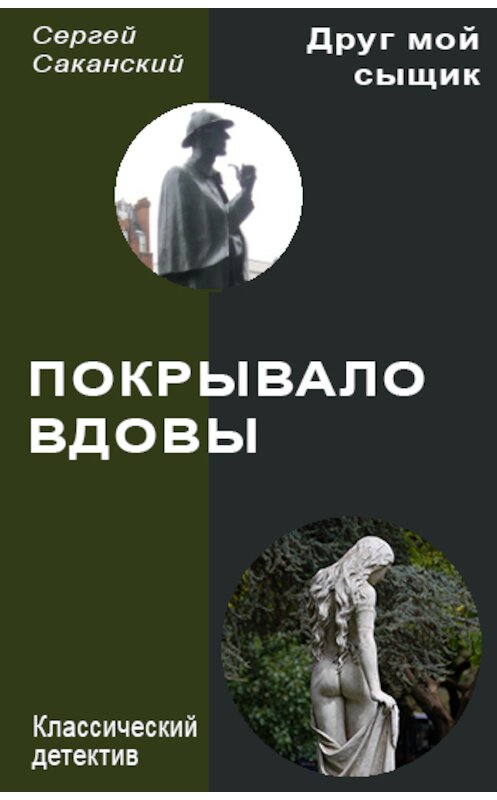 Обложка книги «Покрывало вдовы» автора Сергея Саканския издание 2013 года.