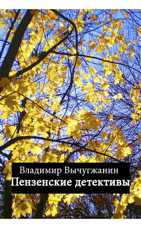 Обложка книги «Пензенские детективы (сборник)» автора Владимира Вычугжанина издание 2012 года. ISBN 9785934341269.