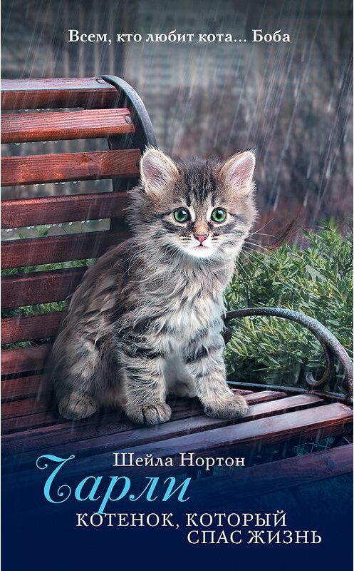 Обложка книги «Чарли. Котенок, который спас жизнь» автора Шейлы Нортона издание 2017 года. ISBN 9785171005344.