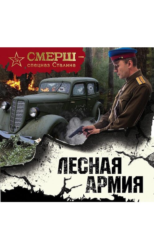 Обложка аудиокниги «Лесная армия» автора Александра Тамоникова.