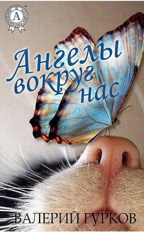 Обложка книги «Ангелы вокруг нас» автора Валерия Гуркова. ISBN 9781387684397.