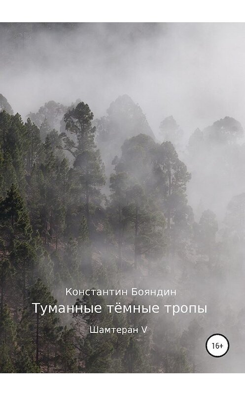 Обложка книги «Туманные тёмные тропы» автора Константина Бояндина издание 2020 года. ISBN 9785532072442.