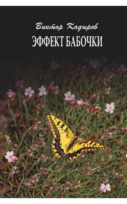Обложка книги «Эффект бабочки» автора Виктора Кадырова издание 2019 года. ISBN 9789967424647.