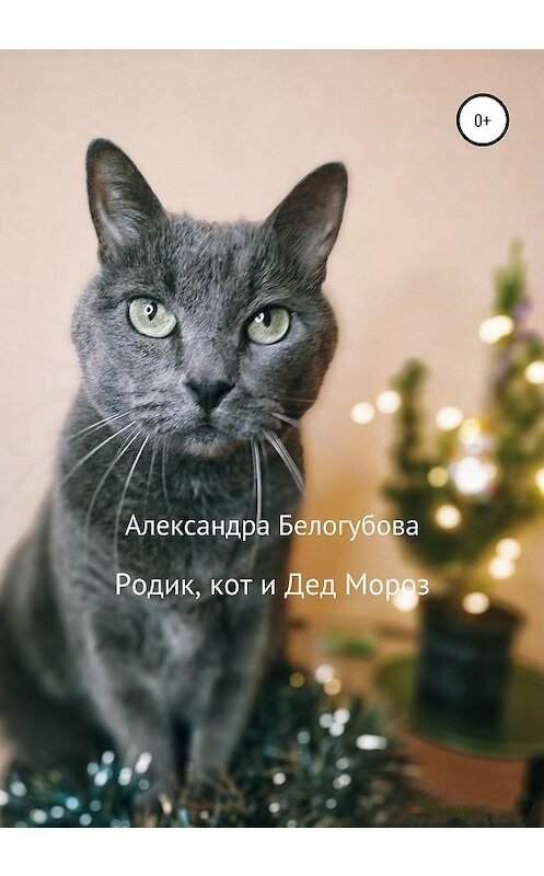 Обложка книги «Родик, кот и Дед Мороз» автора Александры Белогубовы издание 2020 года.