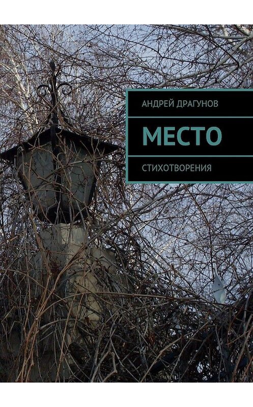 Обложка книги «Место. Стихотворения» автора Андрея Драгунова. ISBN 9785449074201.