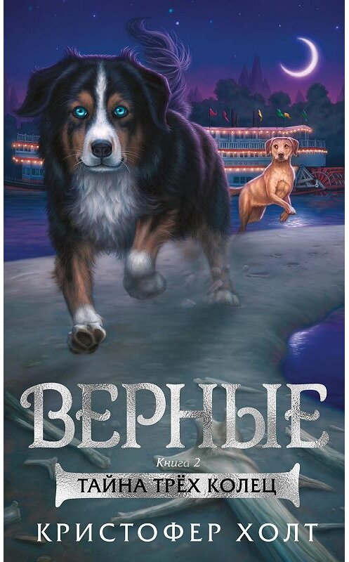 Обложка книги «Верные. Книга 2. Тайна трёх колец» автора Кристофера Холта издание 2019 года. ISBN 9785389165281.