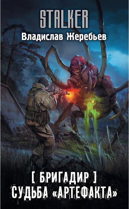 Обложка книги «Бригадир. Судьба «Артефакта»» автора Владислава Жеребьёва издание 2020 года. ISBN 9785171209698.