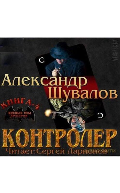 Обложка аудиокниги «Контролёр» автора Александра Шувалова.