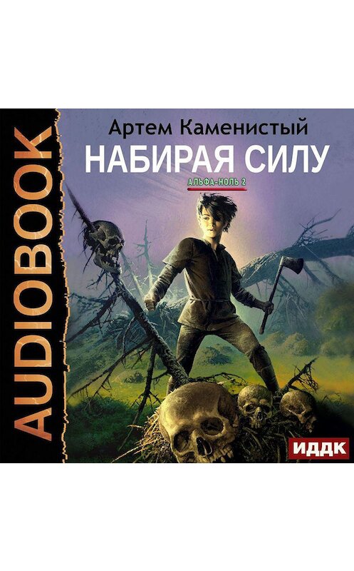 Обложка аудиокниги «Набирая силу» автора Артема Каменистый.