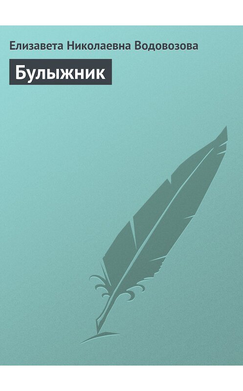 Обложка книги «Булыжник» автора Елизавети Водовозовы.