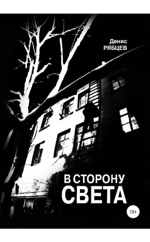 Обложка книги «В сторону света» автора Дениса Рябцева издание 2020 года.
