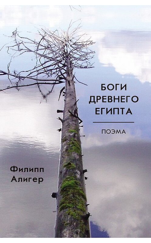 Обложка книги «Боги Древнего Египта» автора Филиппа Алигера издание 2015 года. ISBN 9785000980088.