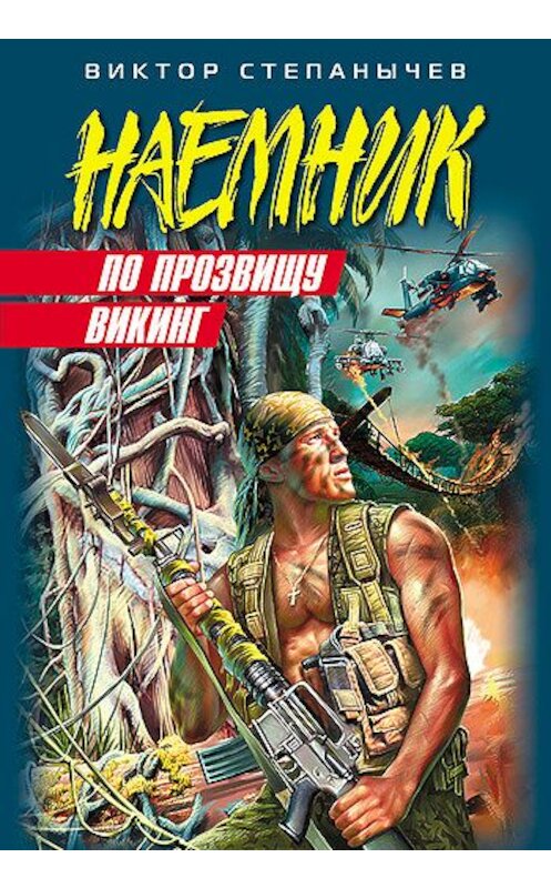 Обложка книги «По прозвищу Викинг» автора Виктора Степанычева издание 2007 года. ISBN 9785699247509.