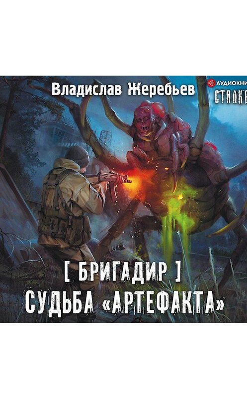 Обложка аудиокниги «Бригадир. Судьба «Артефакта»» автора Владислава Жеребьёва.