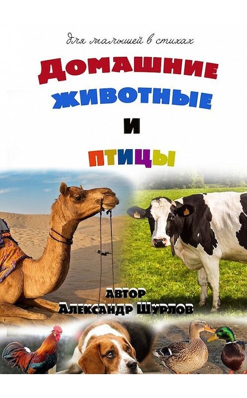 Обложка книги «Домашние животные и птицы» автора Александра Шурлова. ISBN 9785449861863.