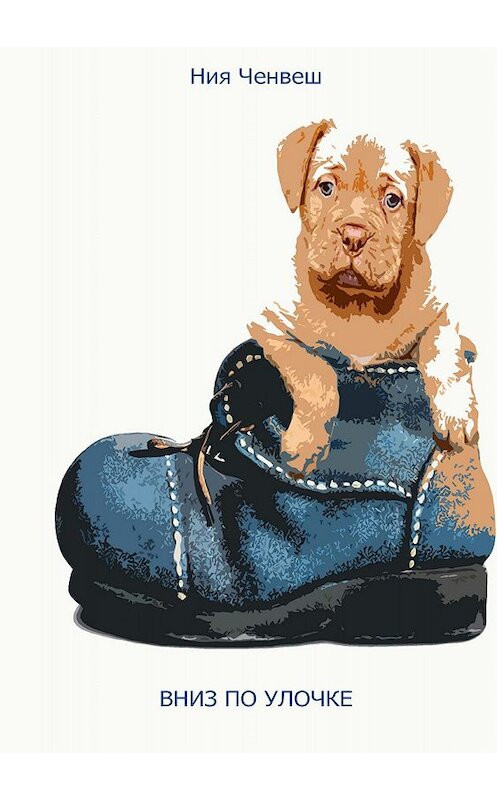 Обложка книги «Вниз по улочке» автора Нии Ченвеша издание 2018 года.