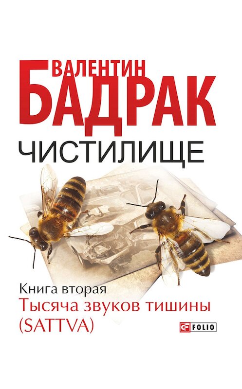 Обложка книги «Чистилище. Книга 2. Тысяча звуков тишины (Sattva)» автора Валентина Бадрака издание 2014 года.