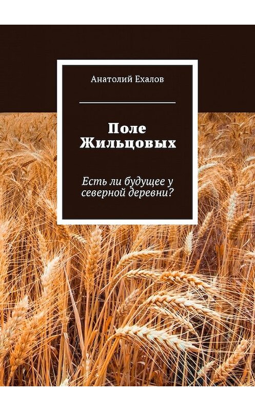 Обложка книги «Поле Жильцовых. Есть ли будущее у северной деревни?» автора Анатолия Ехалова. ISBN 9785448586996.