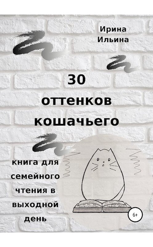 Обложка книги «30 оттенков кошачьего. Книга для семейного чтения в выходной день» автора Ириной Ильины издание 2019 года.