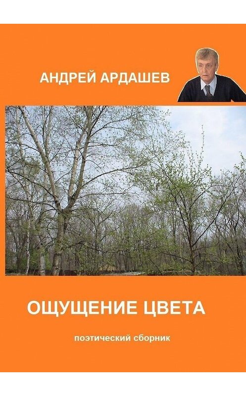 Обложка книги «Ощущение цвета. Поэтический сборник» автора Андрея Ардашева. ISBN 9785005140098.