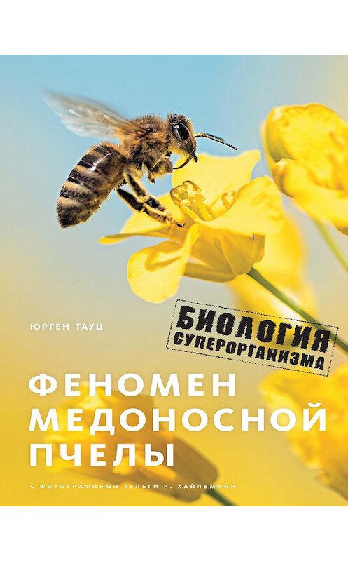 Обложка книги «Феномен медоносной пчелы. Биология суперорганизма» автора Юргена Тауца издание 2018 года. ISBN 9785389152212.