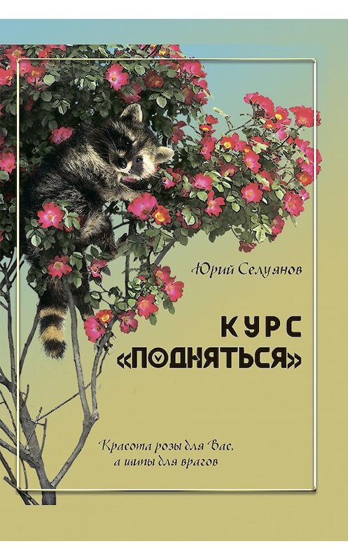 Обложка книги «Курс «Подняться»» автора Юрия Селуянова издание 2020 года. ISBN 9785001711650.