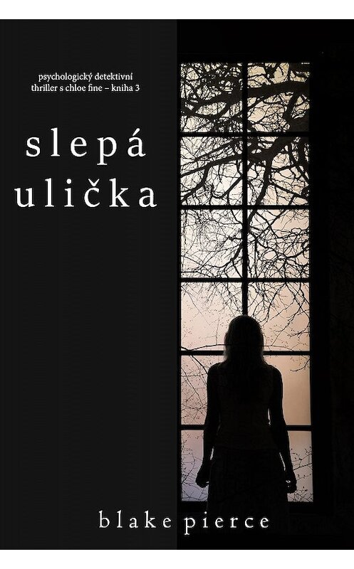 Обложка книги «Slepá ulička» автора Блейка Пирса. ISBN 9781094344584.