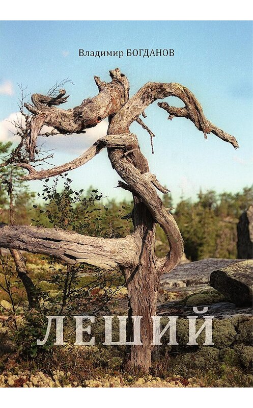 Обложка книги «Леший» автора Владимира Богданова. ISBN 9785449106575.