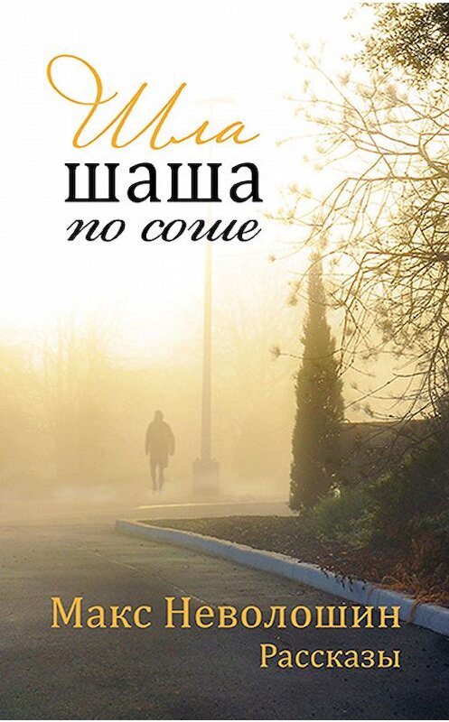Обложка книги «Шла шаша по соше (сборник)» автора Макса Неволошина. ISBN 9780692468593.