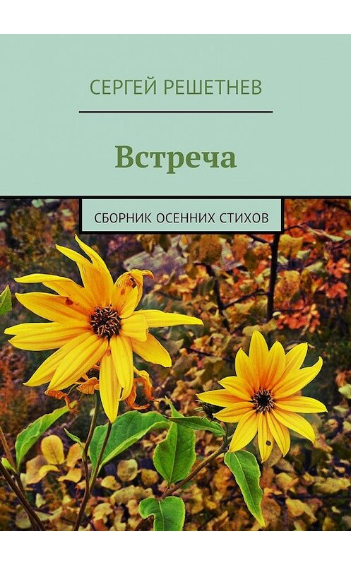 Обложка книги «Встреча» автора Сергея Решетнёва. ISBN 9785447439224.