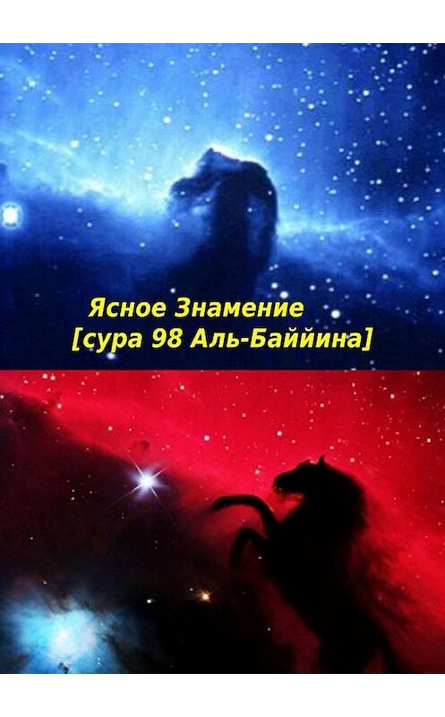 Обложка книги «Ясное Знамение [сура 98 Аль-Баййина]. Идите и терпите за своих Богов. Истина – это то, что от нас желают?» автора Артура Данагаева. ISBN 9785449689337.