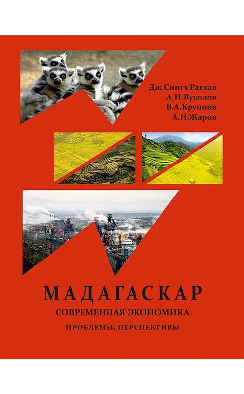 Обложка книги «Республика Мадагаскар. Современная экономика (проблемы, перспективы)» автора  издание 2017 года. ISBN 9785905851315.