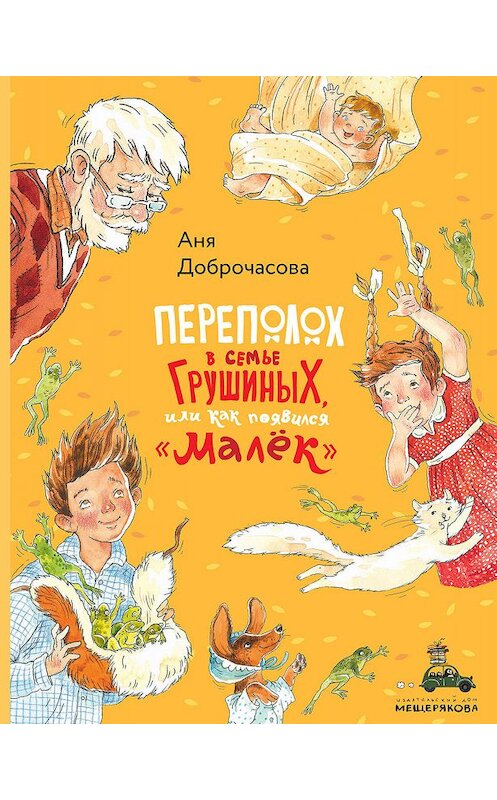 Обложка книги «Переполох в семье Грушиных, или Как появился «Малёк»» автора Анны Доброчасовы издание 2019 года. ISBN 9785001085072.