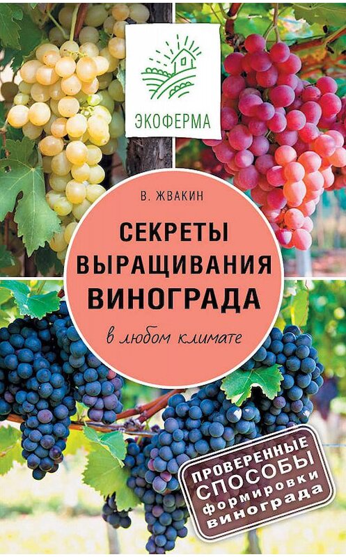 Обложка книги «Секреты выращивания винограда в любом климате. Проверенные способы формировки винограда» автора Виктора Жвакина издание 2017 года. ISBN 9785171013851.