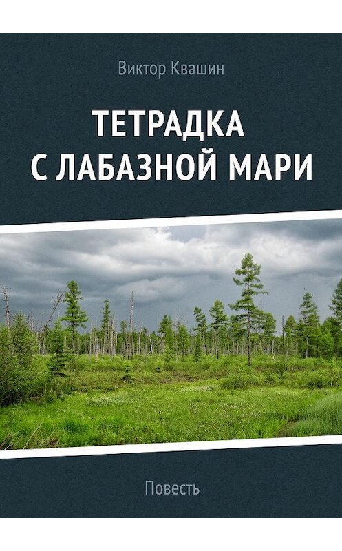 Обложка книги «Тетрадка с лабазной мари» автора Виктора Квашина. ISBN 9785448370816.