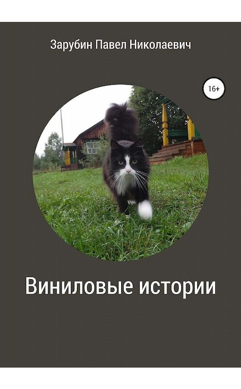 Обложка книги «Виниловые истории» автора Павела Зарубина издание 2019 года.