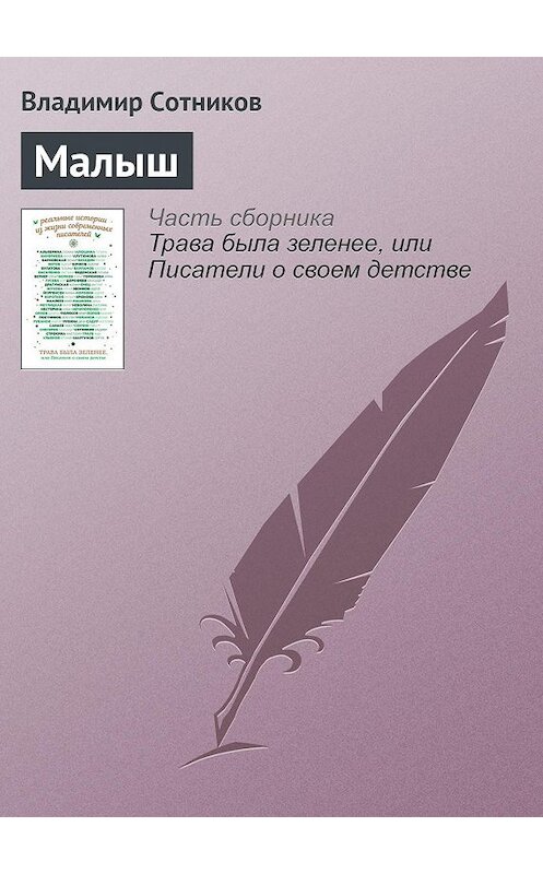 Обложка книги «Малыш» автора Владимира Сотникова издание 2016 года.