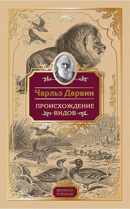 Обложка книги «Происхождение видов» автора Чарльза Дарвина издание 2016 года. ISBN 9785699810598.