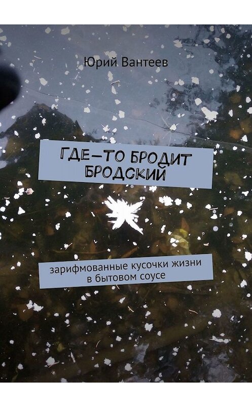 Обложка книги «Где-то бродит Бродский. Зарифмованные кусочки жизни в бытовом соусе» автора Юрия Вантеева. ISBN 9785449822772.