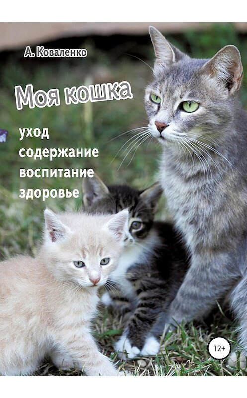 Обложка книги «Моя кошка. Уход, содержание, воспитание, здоровье» автора Александр Коваленко издание 2020 года. ISBN 9785532053588.