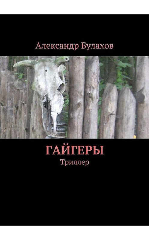 Обложка книги «Гайгеры» автора Александра Булахова. ISBN 9785447407698.