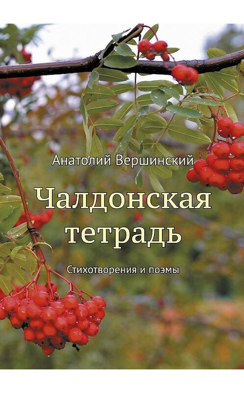 Обложка книги «Чалдонская тетрадь. Стихотворения и поэмы» автора Анатолия Вершинския. ISBN 9785448574337.