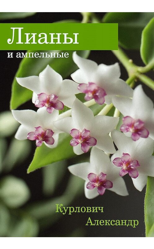 Обложка книги «Лианы и ампельные» автора Александра Курловича. ISBN 5941070500.