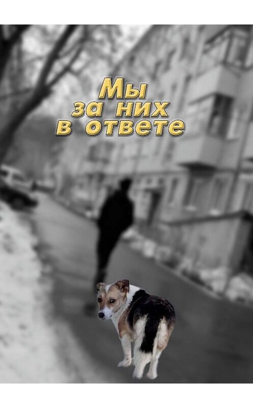 Обложка книги «Мы за них в ответе» автора Ириной Коробейниковы. ISBN 9785005161765.