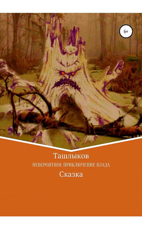 Обложка книги «Невероятное приключение Влада» автора Леонида Ташлыкова издание 2020 года.